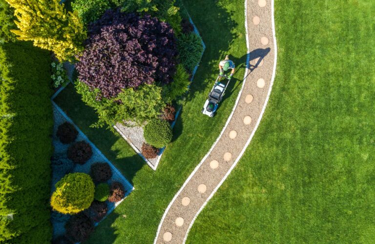Basalt Flour for Lawns