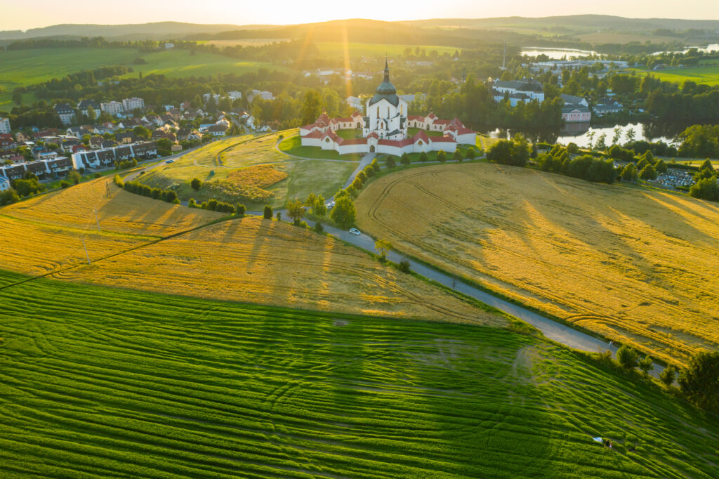 Basaltmehl gegen Schnecken