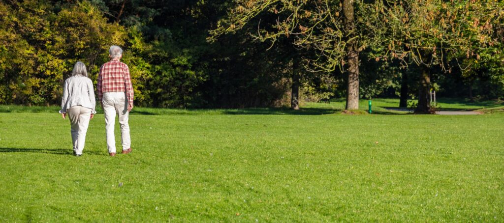 Benefits of Using Basalt Flour on Lawns