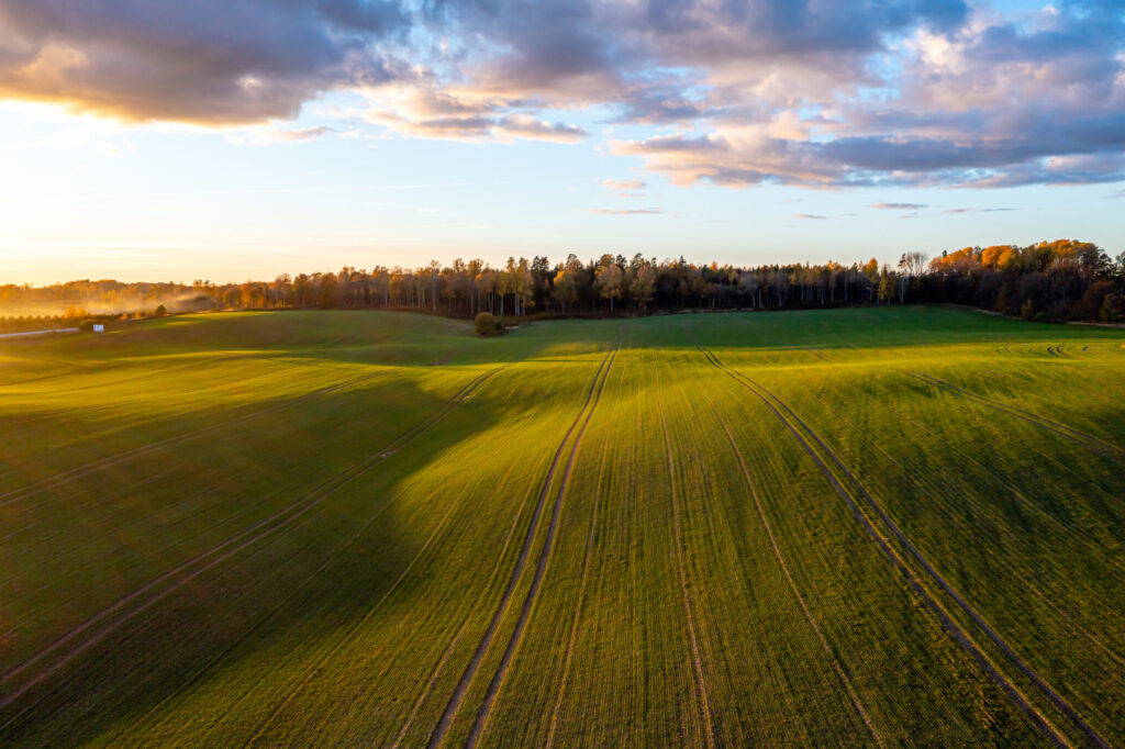 Ecological Soil Regeneration
