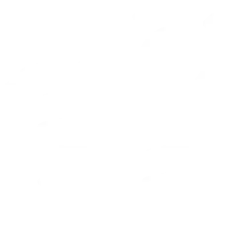 Knowledge