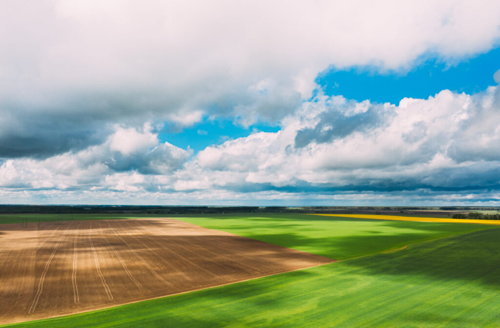 Methods of Ecological Soil Regeneration