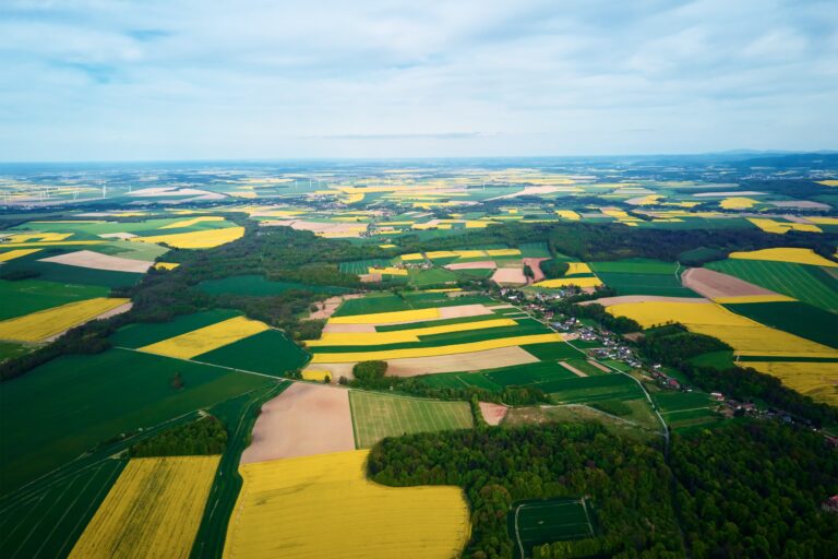 Regenerative Landwirtschaft