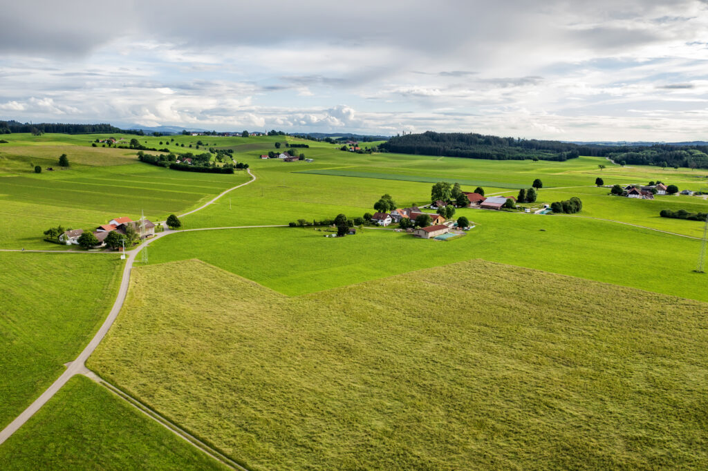 Schädlingsbekämpfung