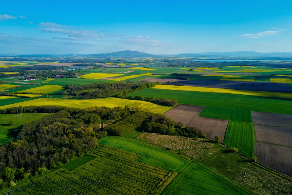 Zentrale Prinzipien der regenerativen Landwirtschaft