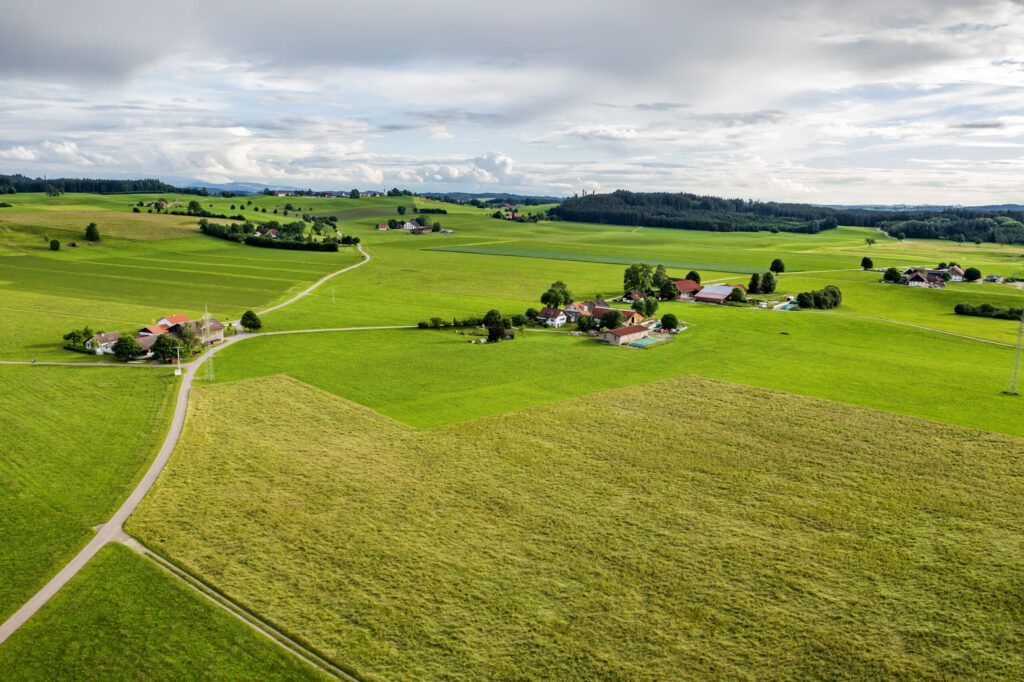 Zwalczanie szkodników